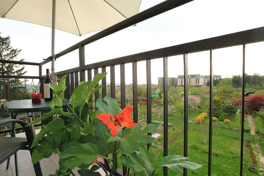 Large And Modern With Free Parking Spot Apartment